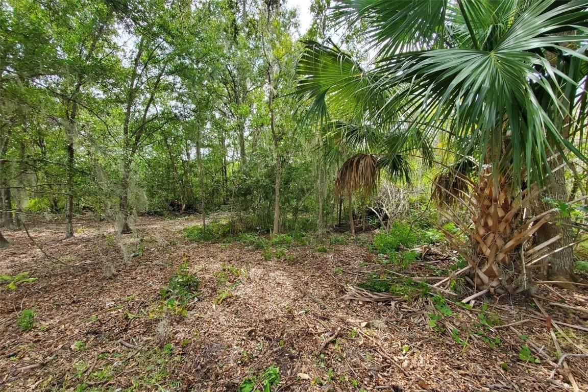 Holy Cow Rd., Polk City, FL 33868