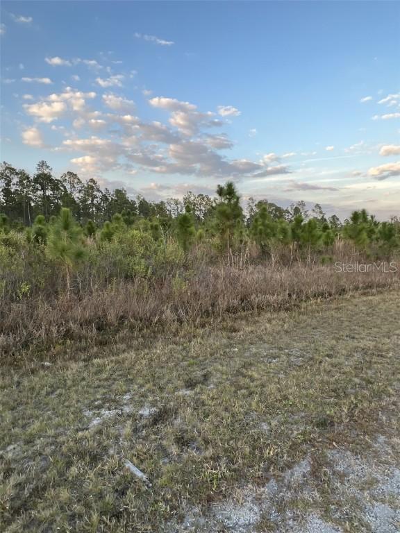 1002 Gardenia Dr., Lake Wales, FL 33898