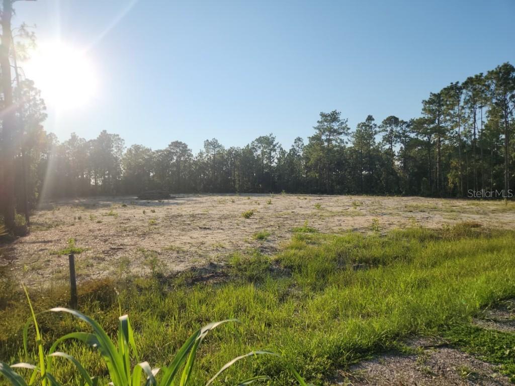 135th Avenue, Ocala, FL 34481