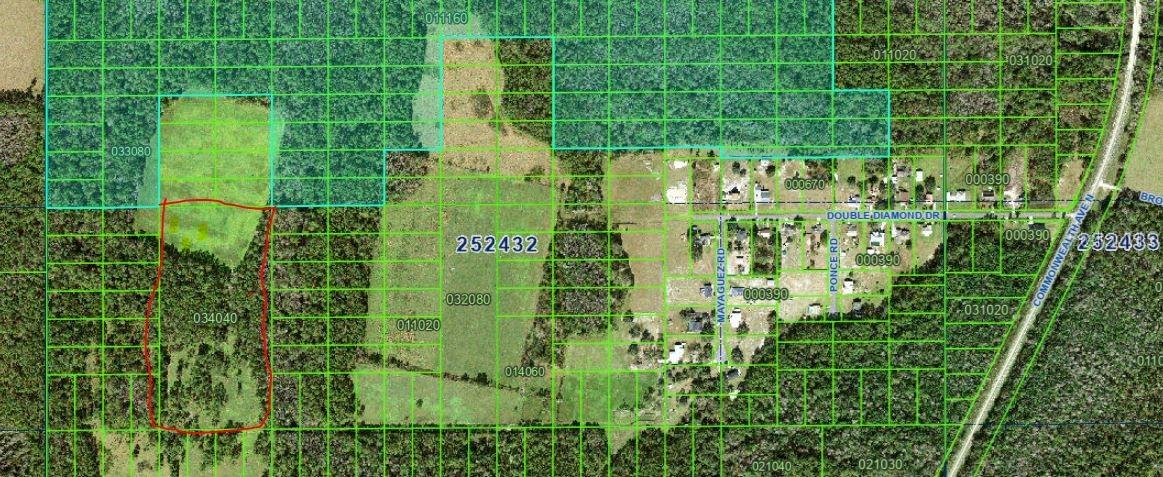 Double Diamond Dr., Polk City, FL 33868