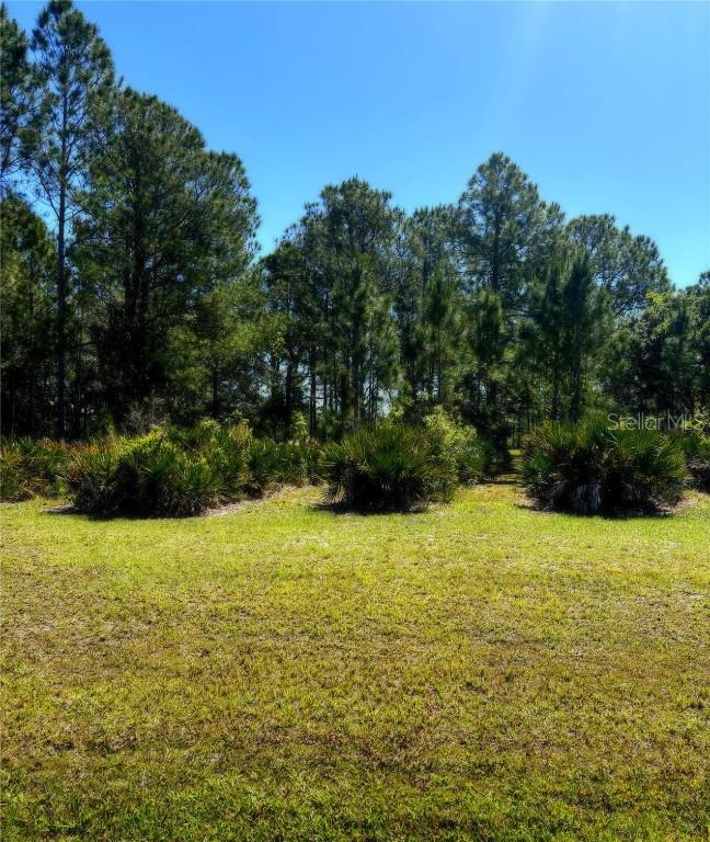 4566 Wrightbros Rd., Frostproof, FL 33843