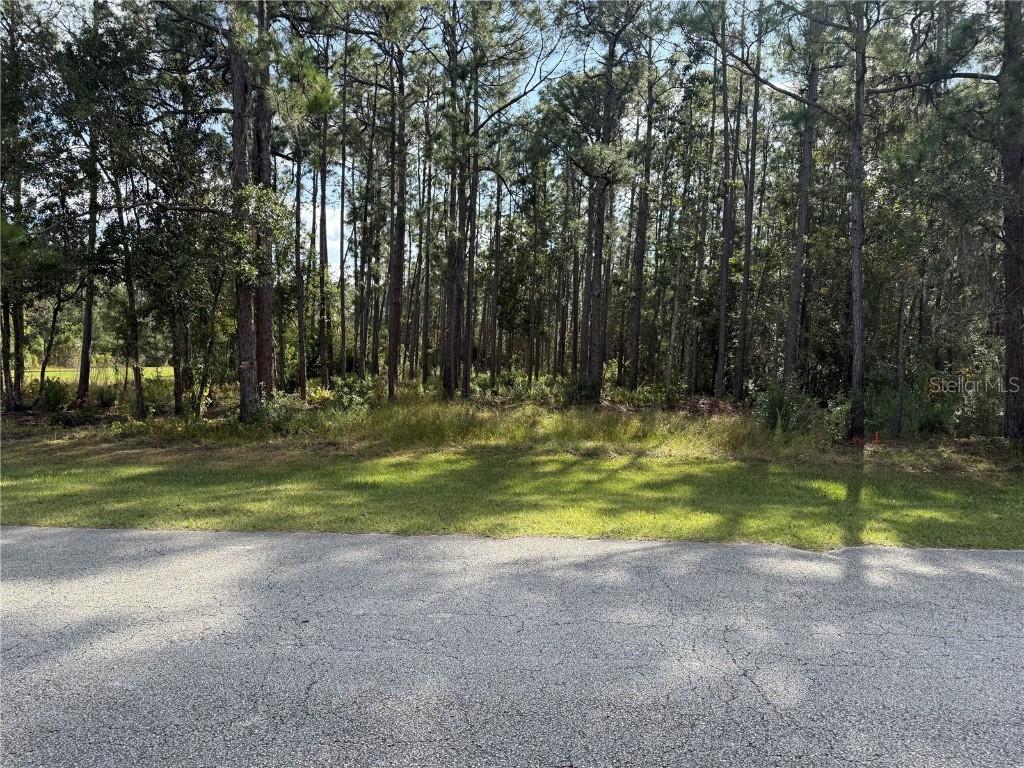 Limpkin Ln., Frostproof, FL 33843