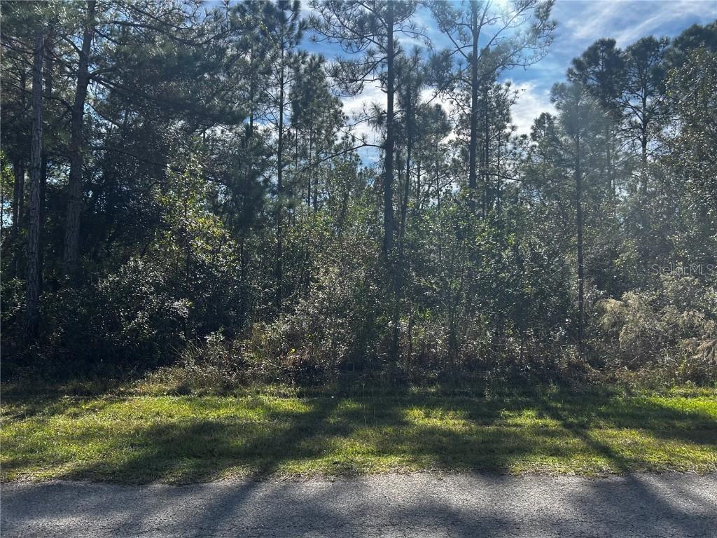207 Gardenia Dr., Lake Wales, FL 33855