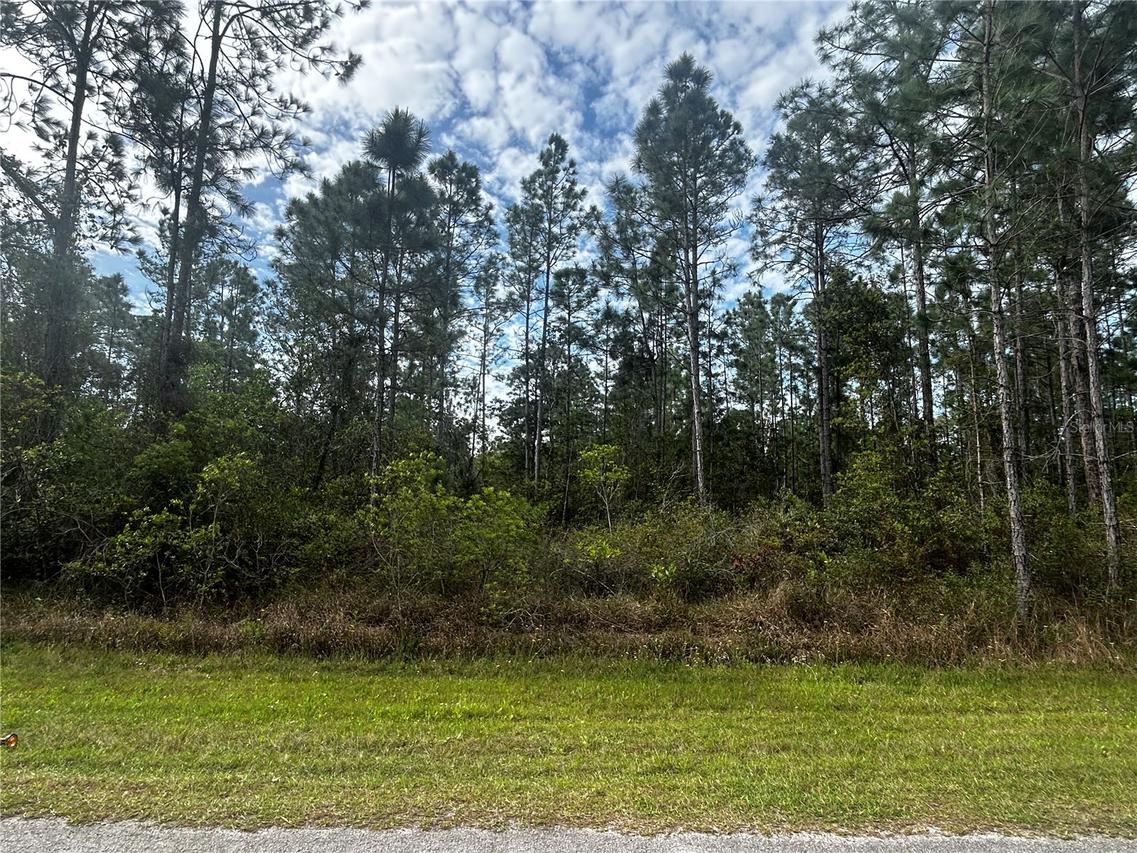 207 Gardenia Dr., Lake Wales, FL 33855