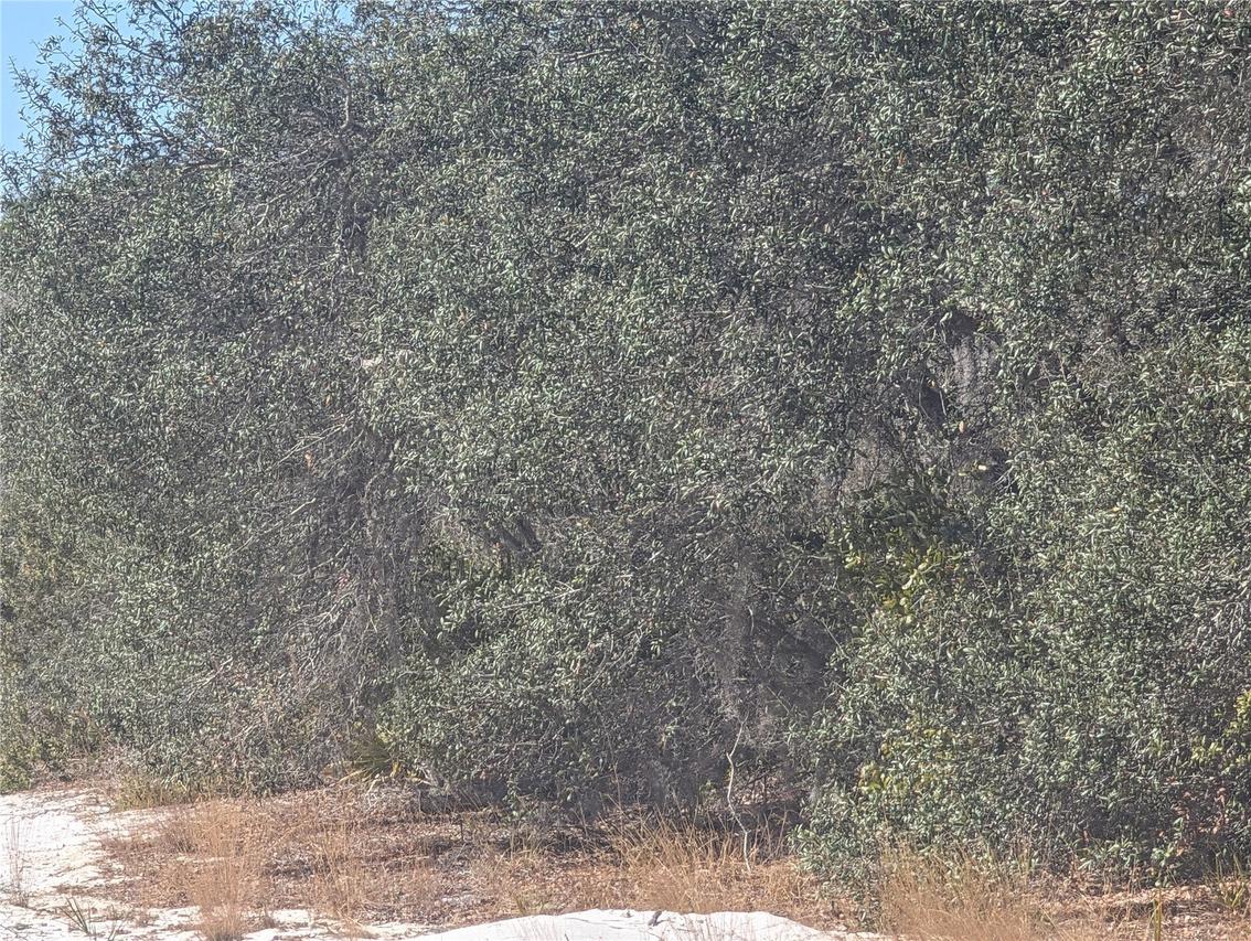 6 Hibiscus Dr., Indian Lake Estates, FL 33855