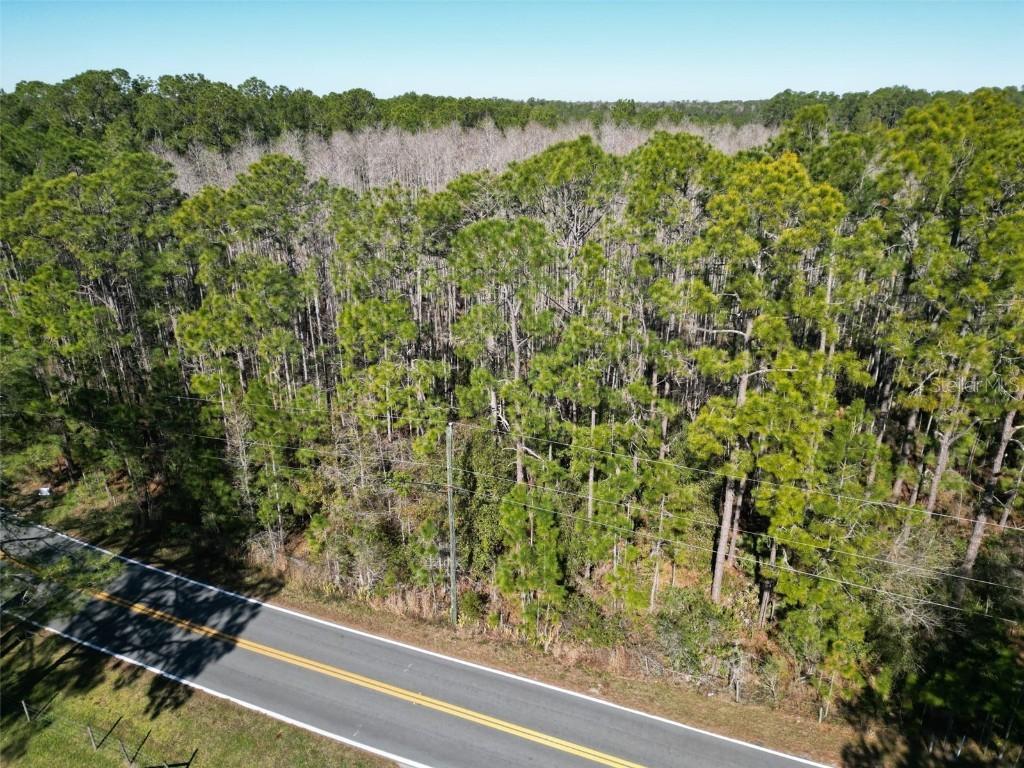 Green Pond Rd., Polk City, FL 33868