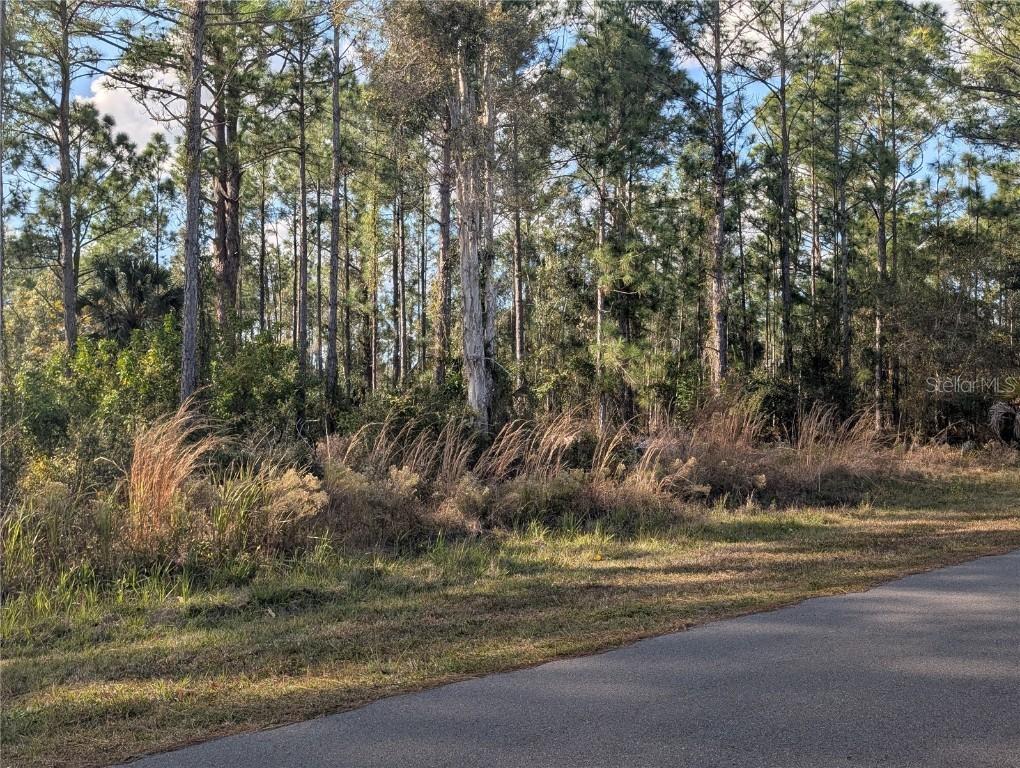 5 Lantana Dr., Indian Lake Estates, FL 33855