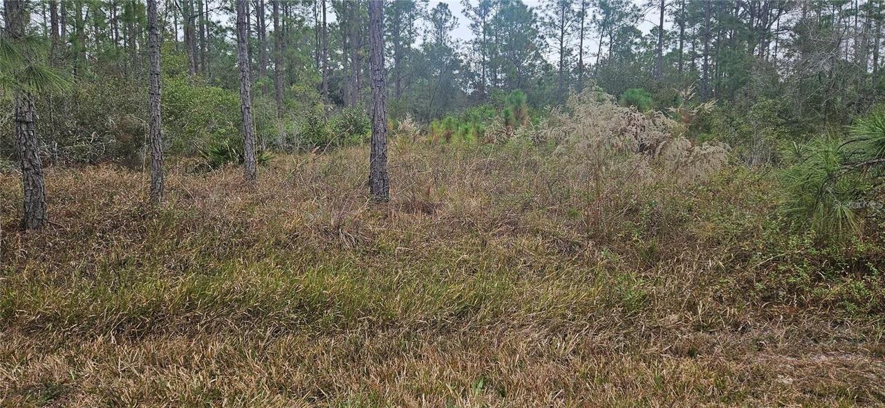 408 Pandora Dr., Indian Lake Estates, FL 33855