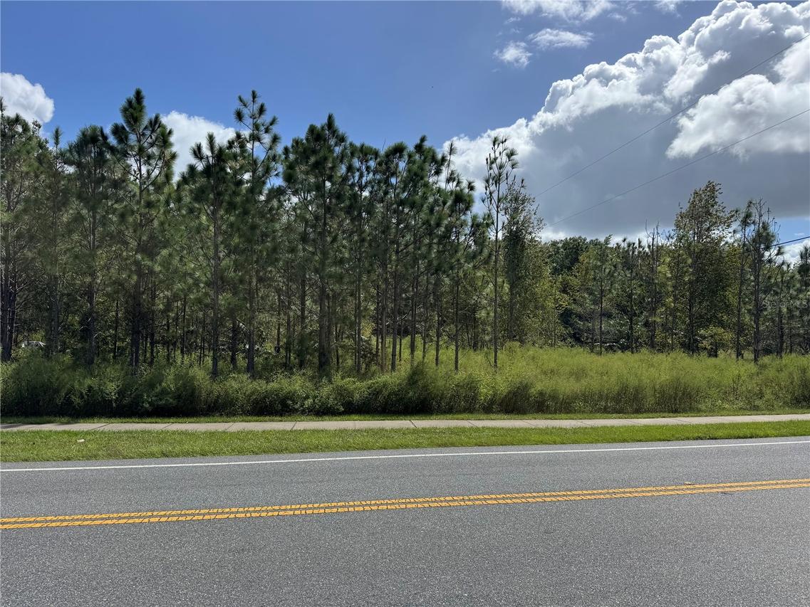 Fishermans Rd., Paisley, FL 32767