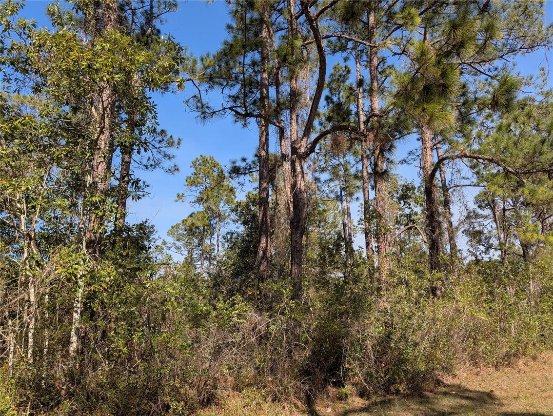 214 & 216 Allamanda Dr., Indian Lake Estates, FL 33855