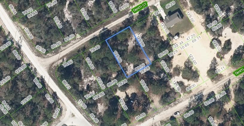 405 Tahiti Ct., Lake Placid, FL 33852