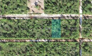 106 Camellia Dr., Indian Lake Estates, FL 33855