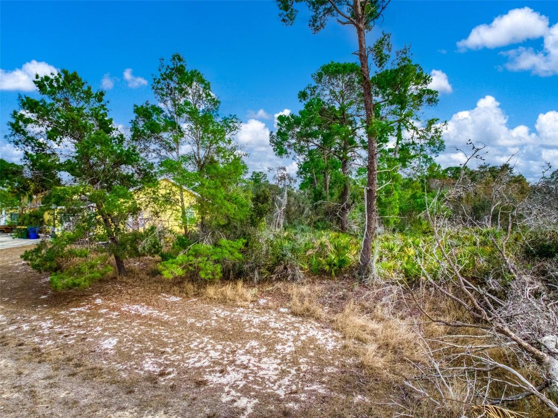 3085 W Scoralick Rd., Avon Park, FL 33825