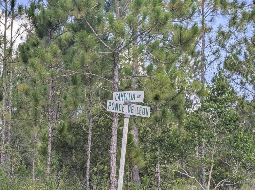 401 Camellia Dr., Indian Lake Estates, FL 33855