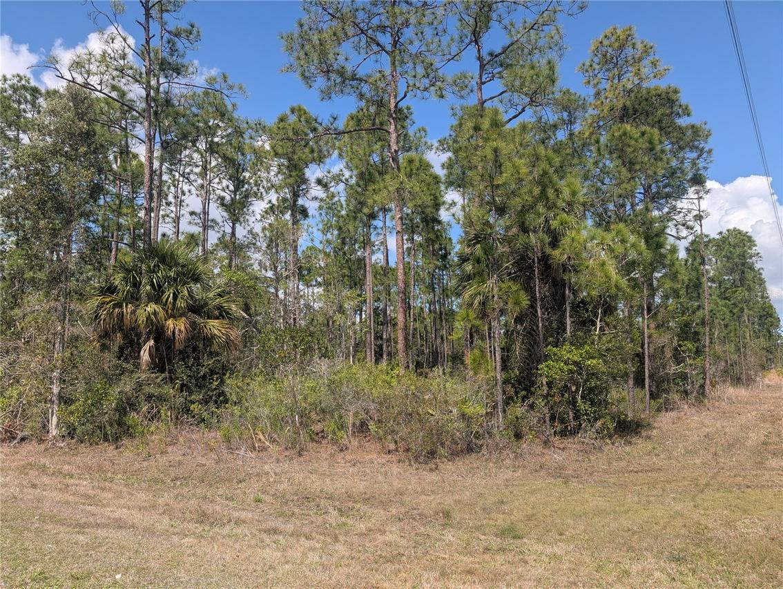 802 Althea Dr., Indian Lake Estates, FL 33855