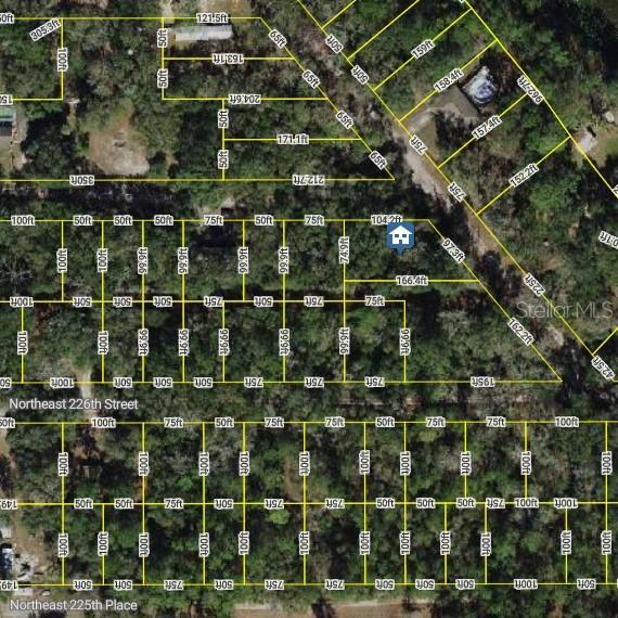 NE 227th St., Fort Mc Coy, FL 32134