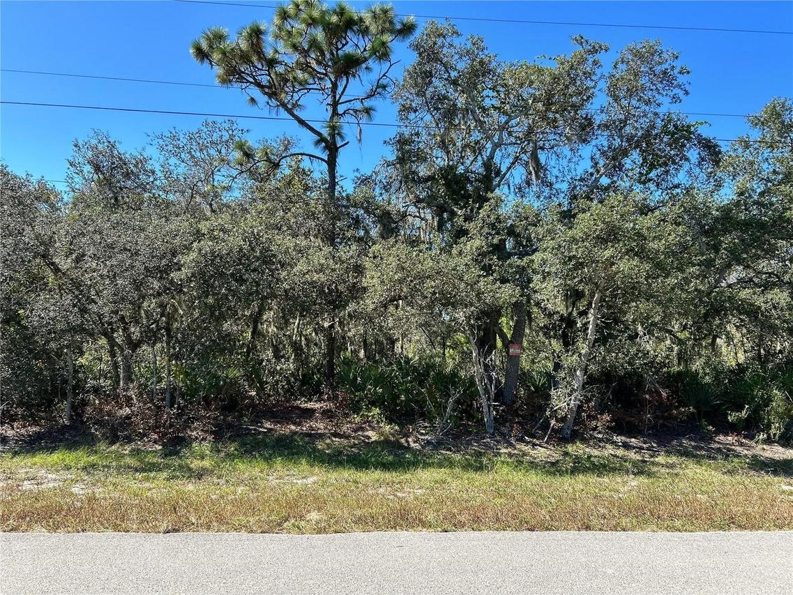 Woodstork Way, Frostproof, FL 33843