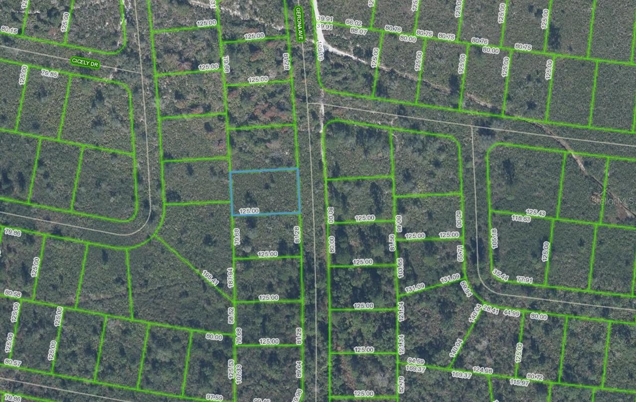 4055 Gerona Ave., Sebring, FL 33872