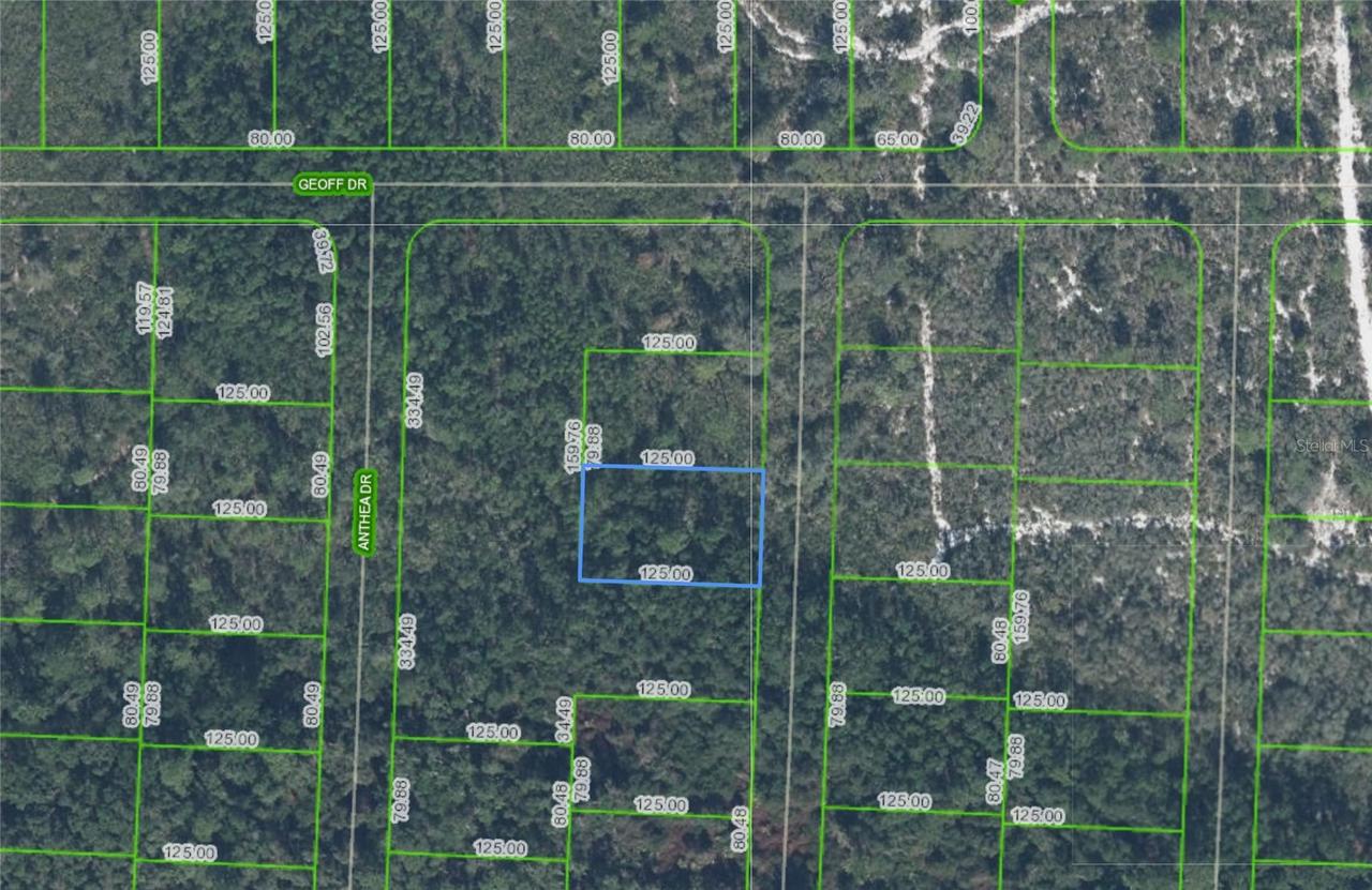 6316 Alicia Dr., Sebring, FL 33872