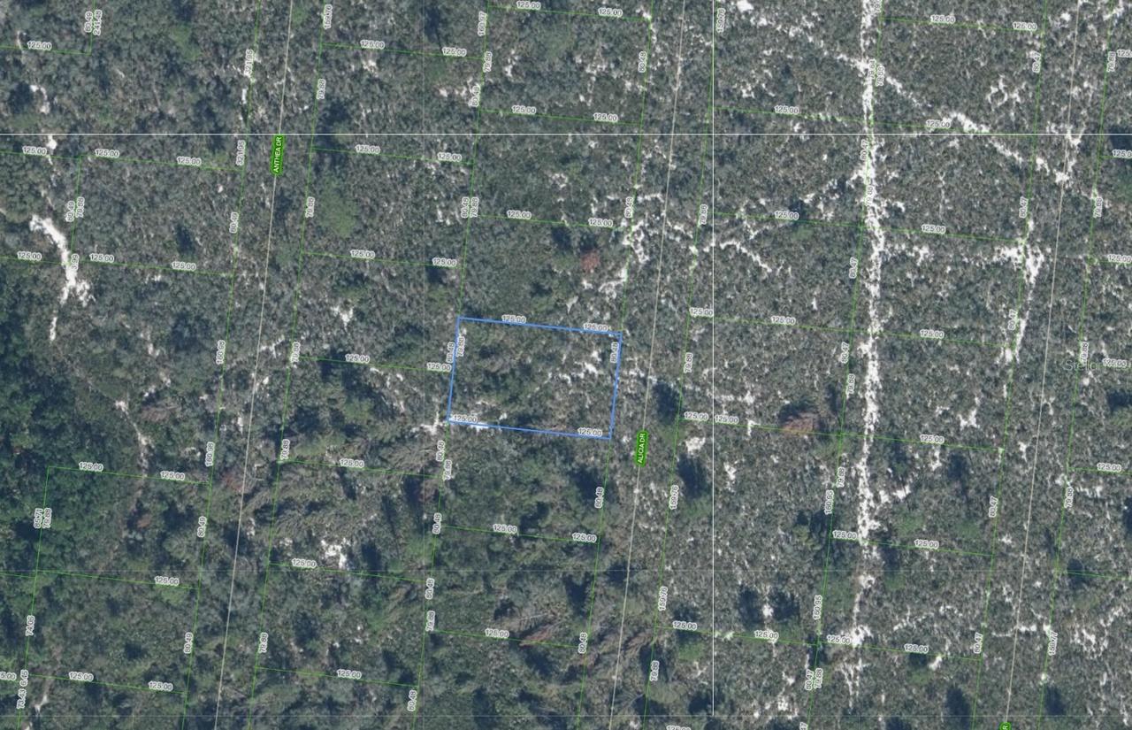 [Address Hidden by Seller], Sebring, FL 33872