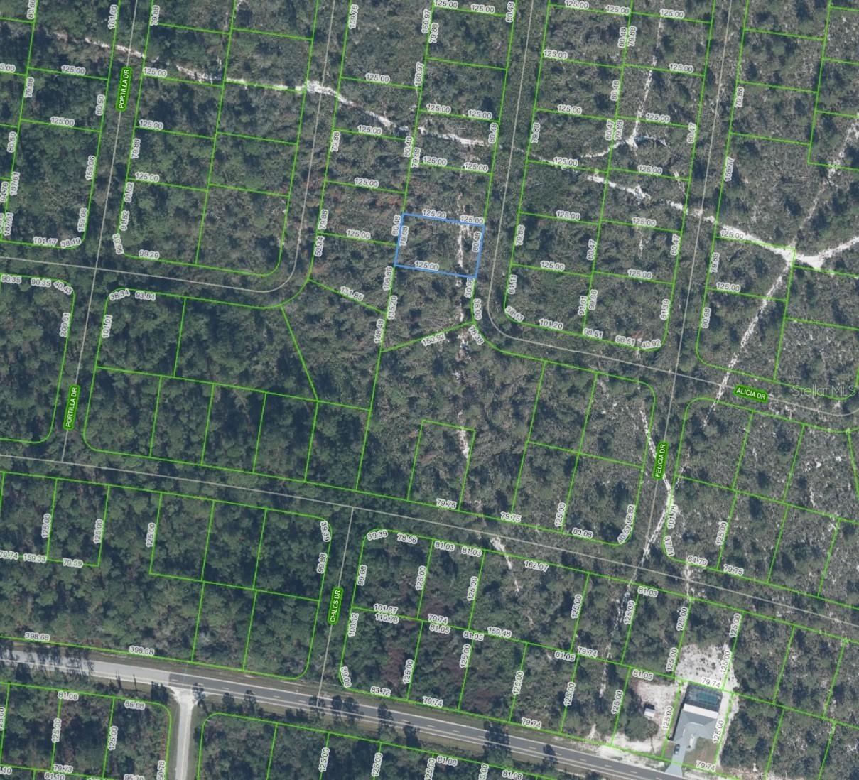 6464 Alicia Dr., Sebring, FL 33872