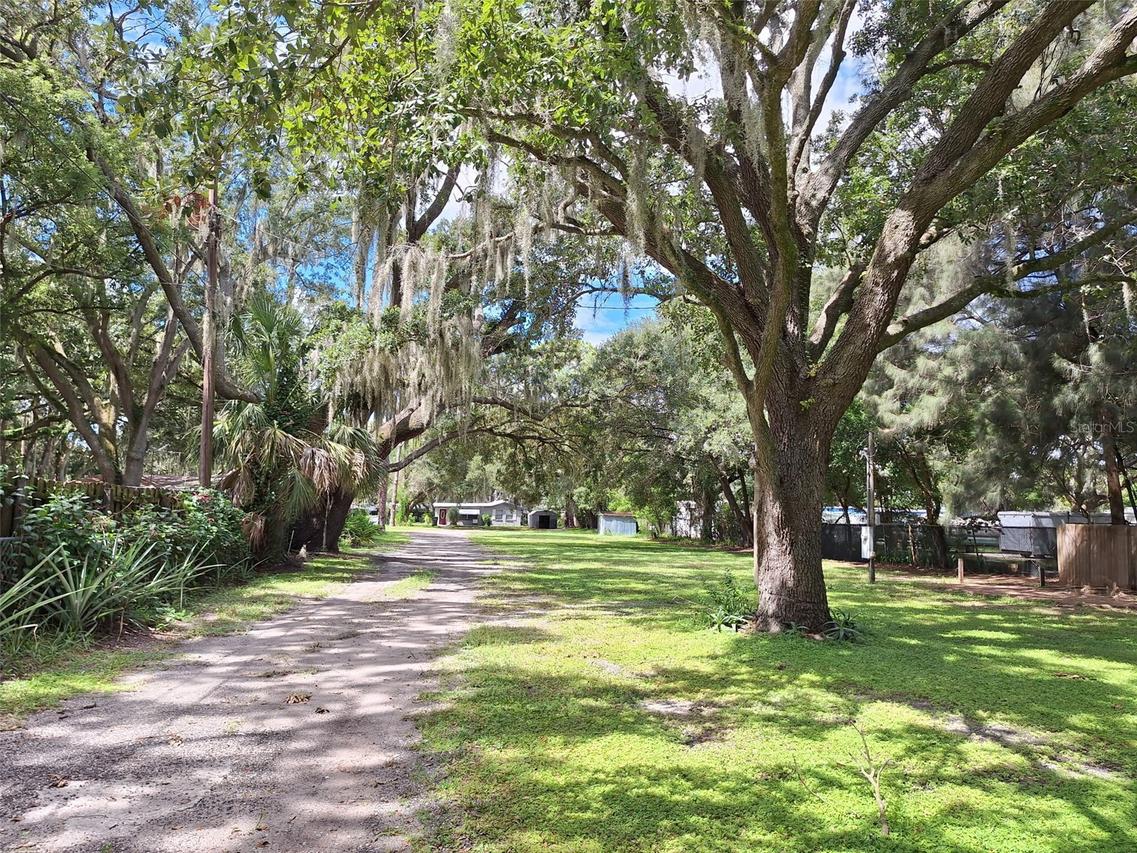 1257 Lynchburg Rd., Lake Alfred, FL 33850