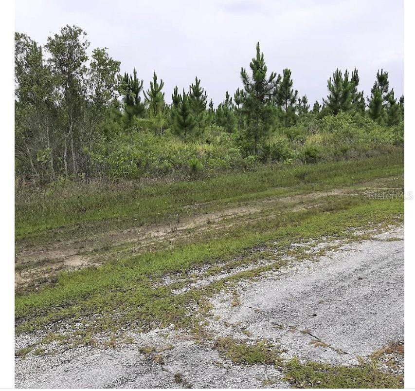 Calliandra Dr., Indian Lake Estates, FL 33855