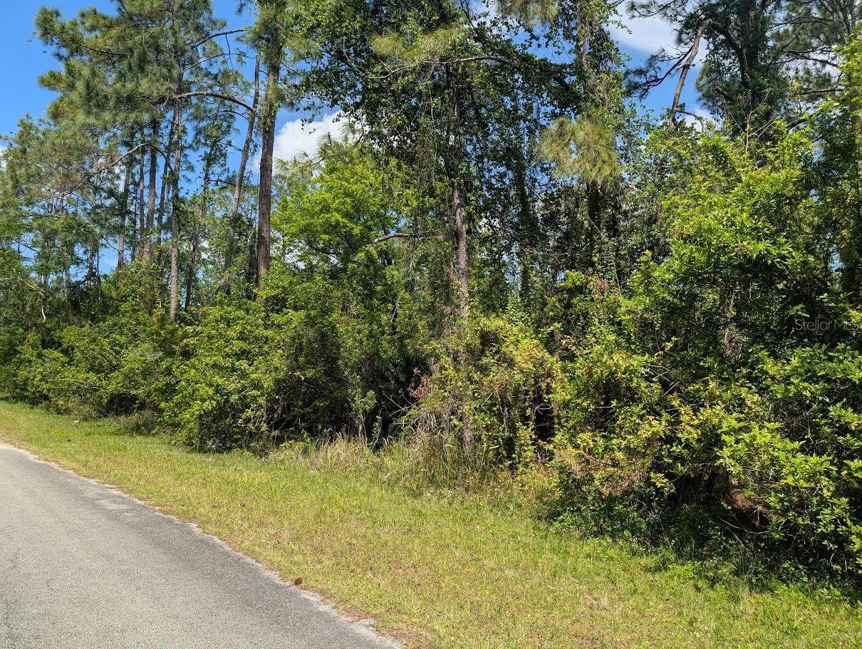 204 Allamanda Dr., Indian Lake Estates, FL 33855