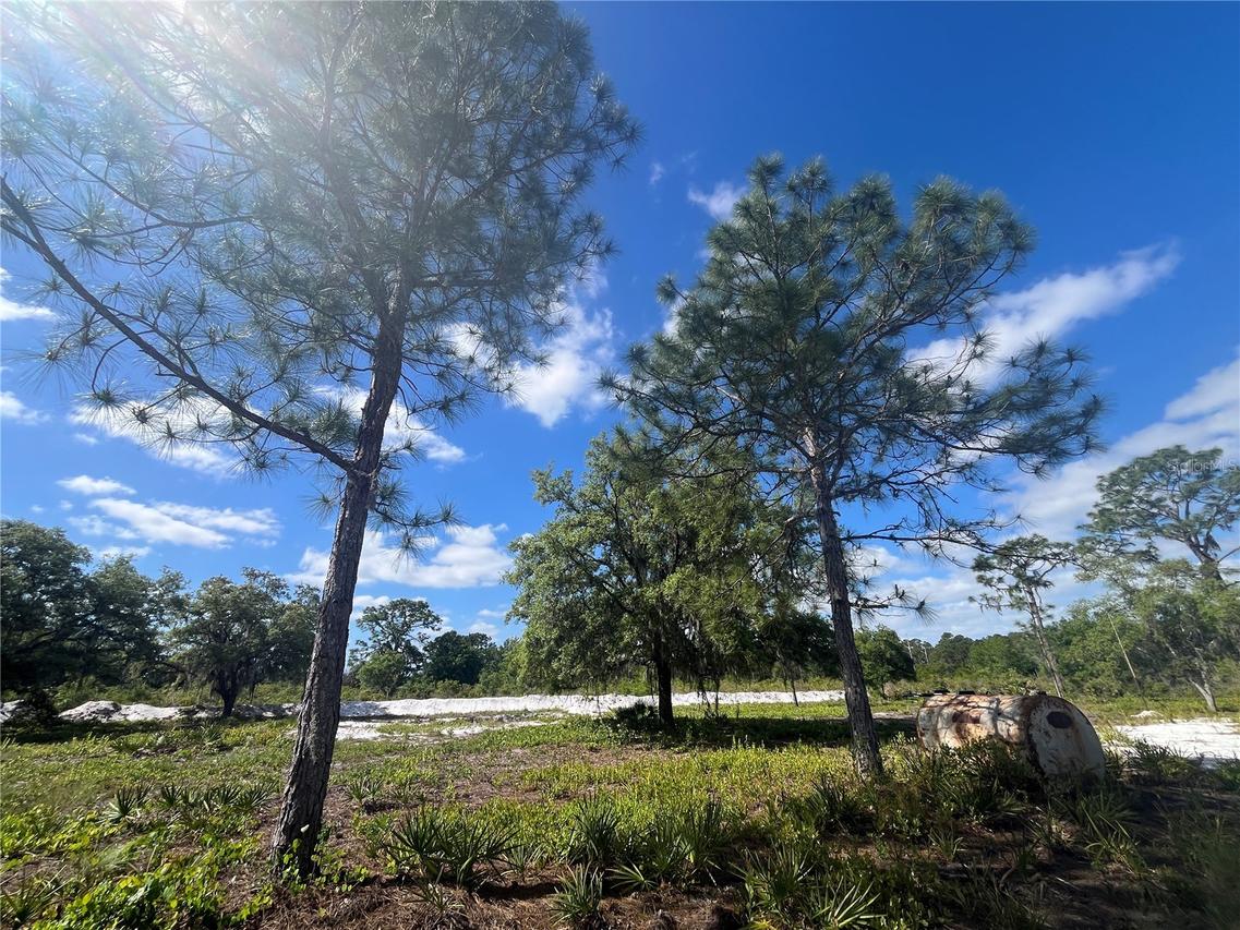 LOT 34 Fazzini Dr., Frostproof, FL 33843