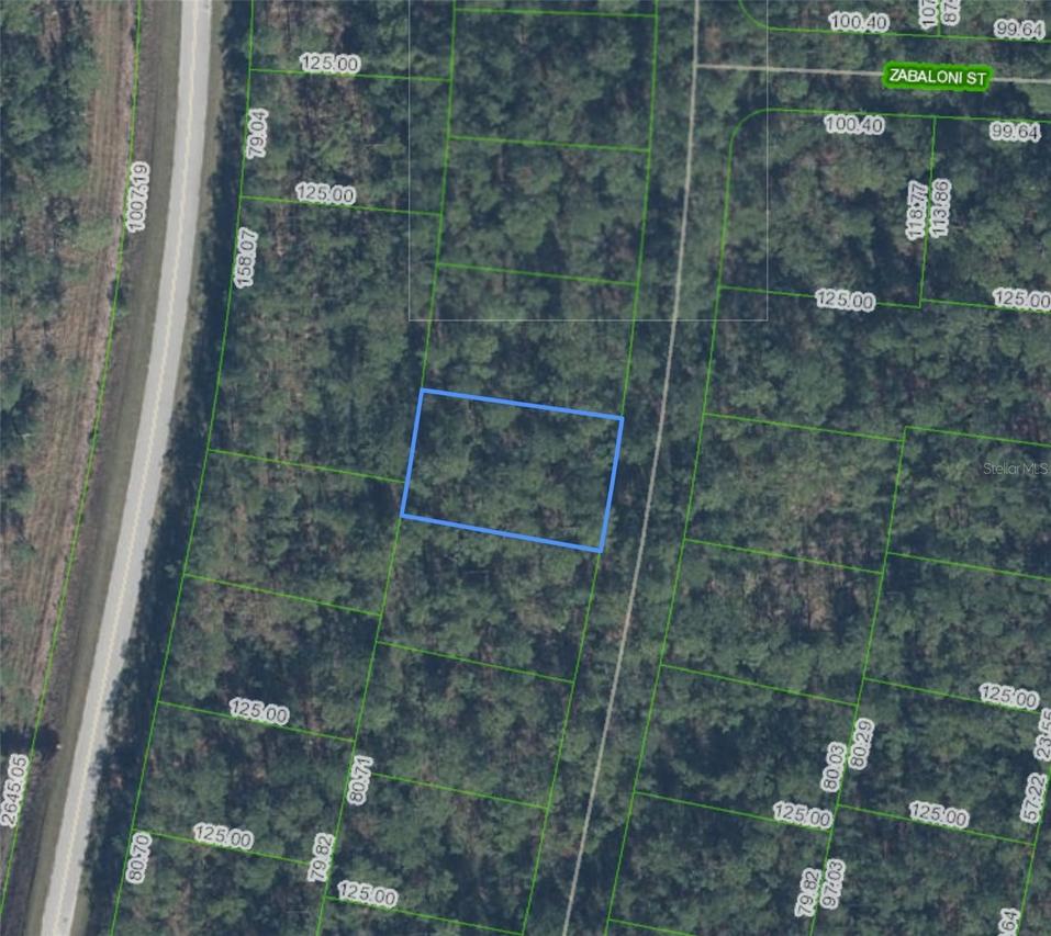[Address Hidden by Seller], Sebring, FL 33872