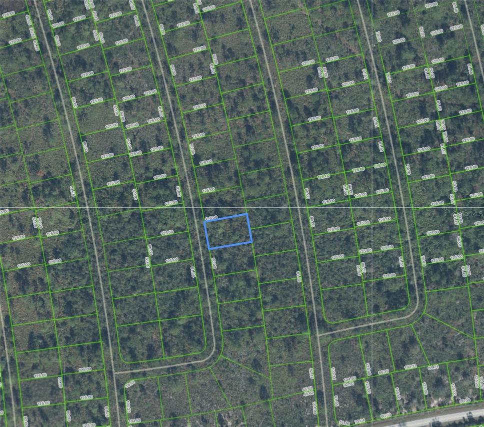 4336 San Pedro Dr., Sebring, FL 33872