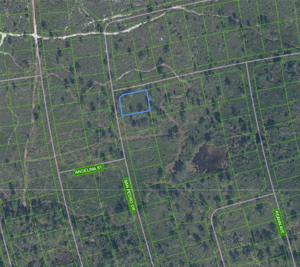 4724 San Pedro Dr., Sebring, FL 33872