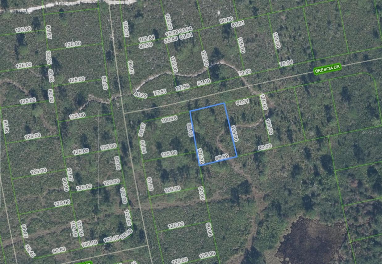 7448 Bresica Dr., Sebring, FL 33872
