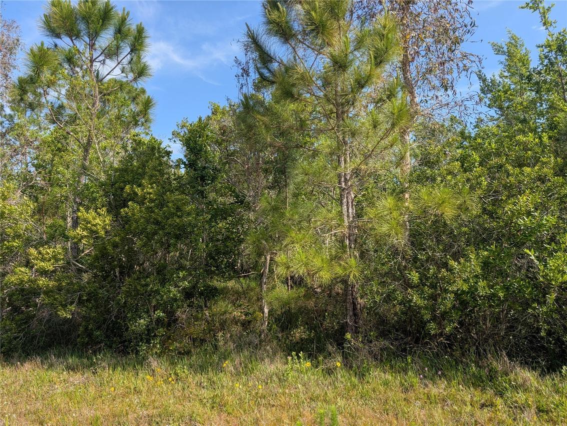 704 Orchid Dr., Indian Lake Estates, FL 33855