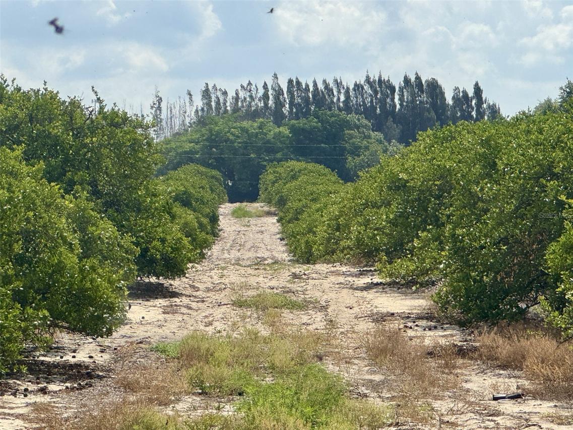Crooked Lake Dr., Babson Park, FL 33827