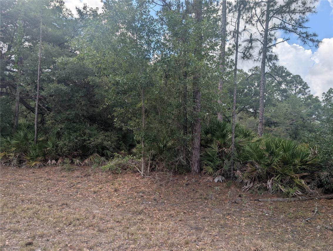 Allamanda Dr., Indian Lake Estates, FL 33855