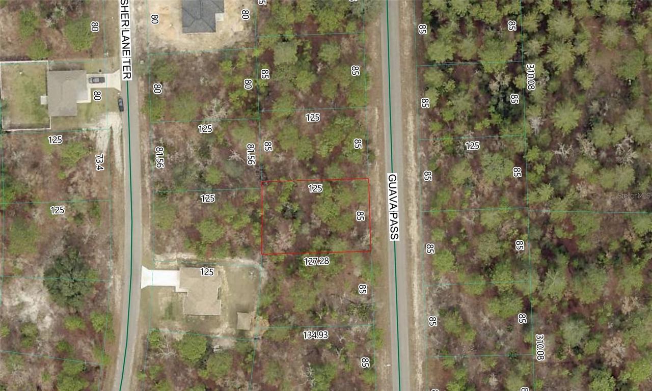 Guava Pass Lot 10, Ocklawaha, FL 32179