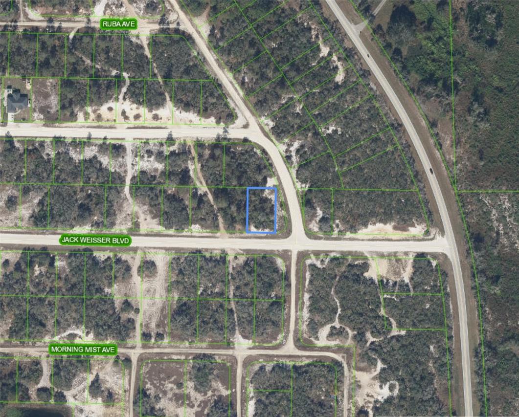 472 Jack Weisser Blvd., Lake Placid, FL 33852