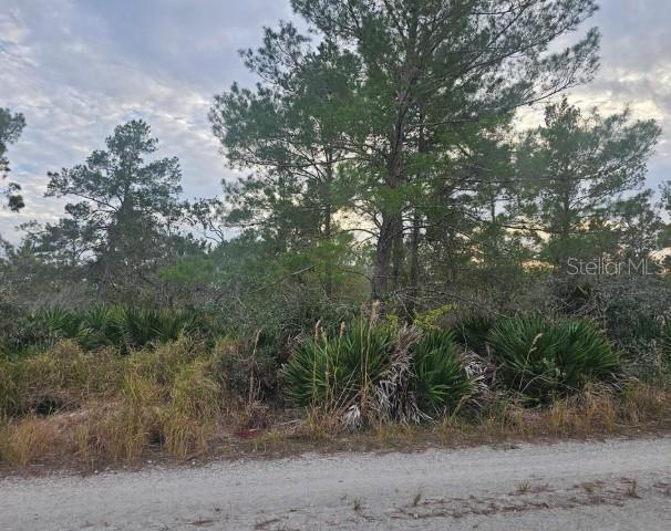 2225 Algonquin Dr., Sebring, FL 33875