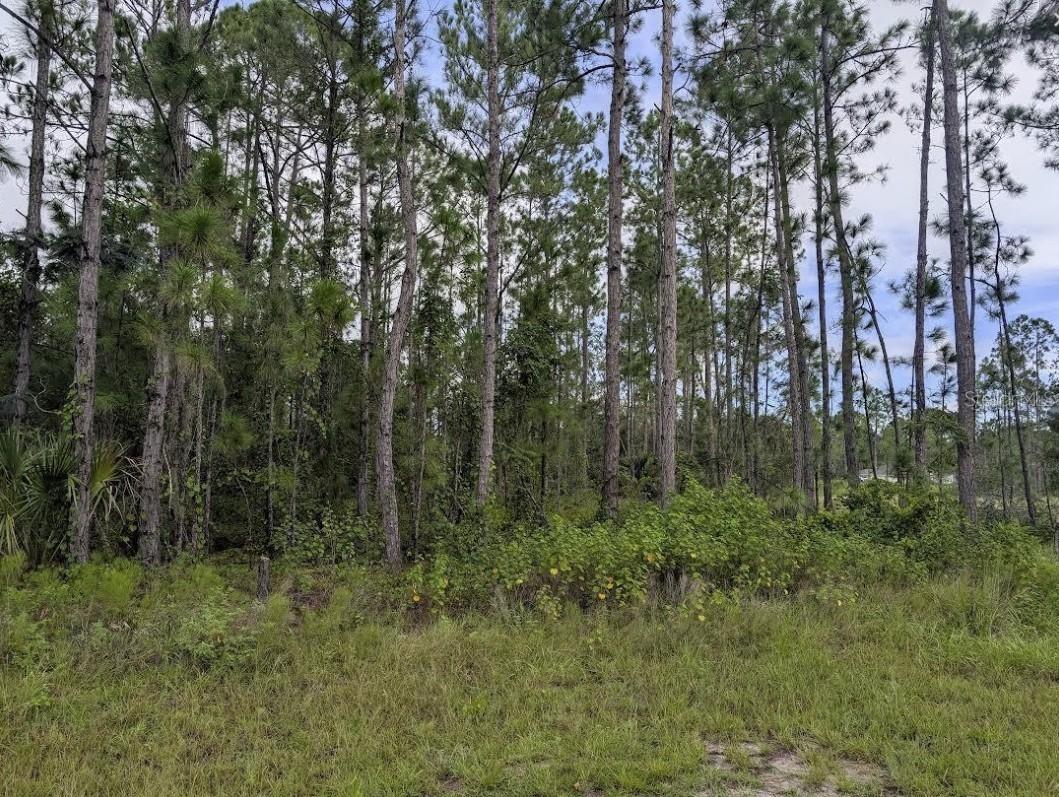 1122 Poinciana Dr., Indian Lake Estates, FL 33855