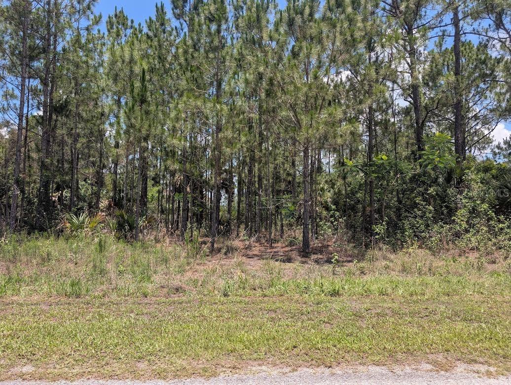 7 Avocado Dr., Indian Lake Estates, FL 33855