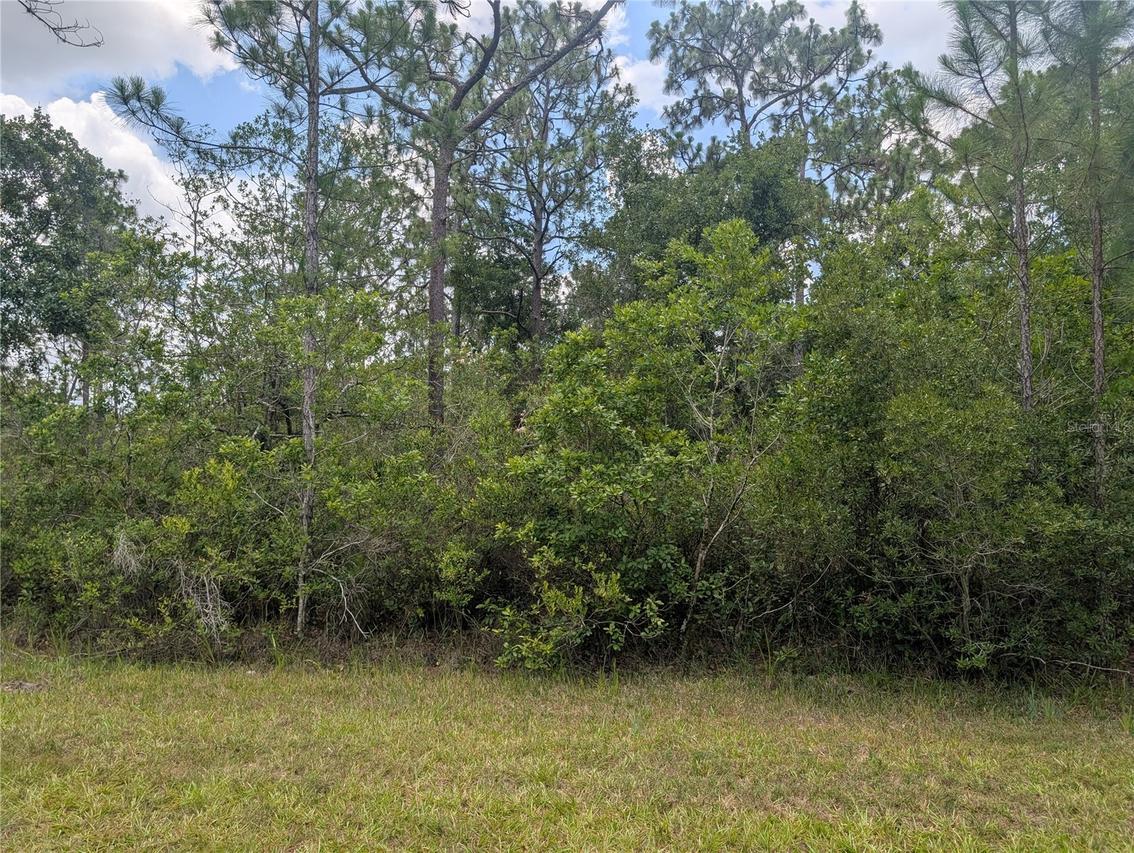 519 Camellia Dr., Indian Lake Estates, FL 33855