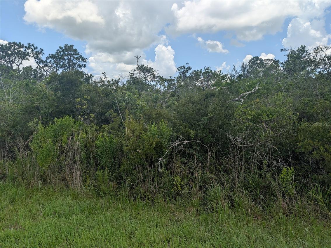 314 Camellia Dr., Indian Lake Estates, FL 33855