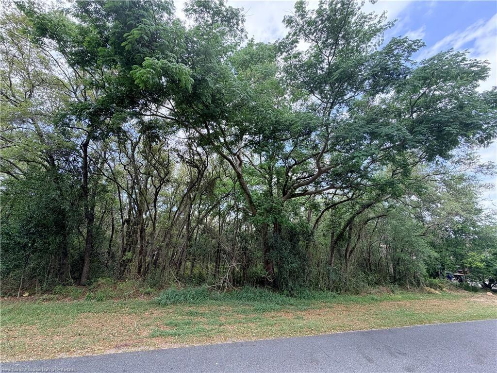 1727 N Berkley Rd., Avon Park, FL 33825