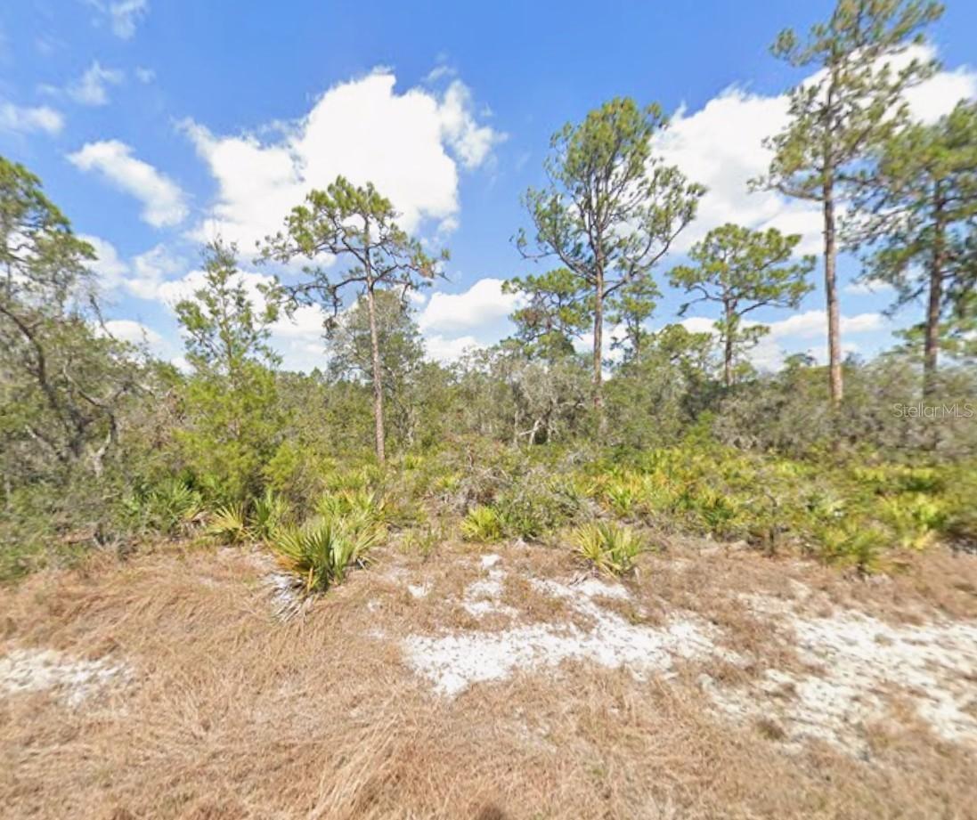 3047 Willow Ave., Lake Placid, FL 33852
