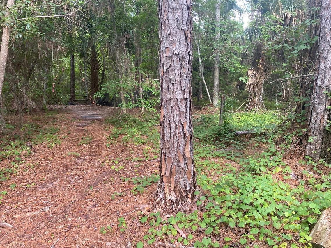 709 Georgetown Denver Rd., Crescent City, FL 32112