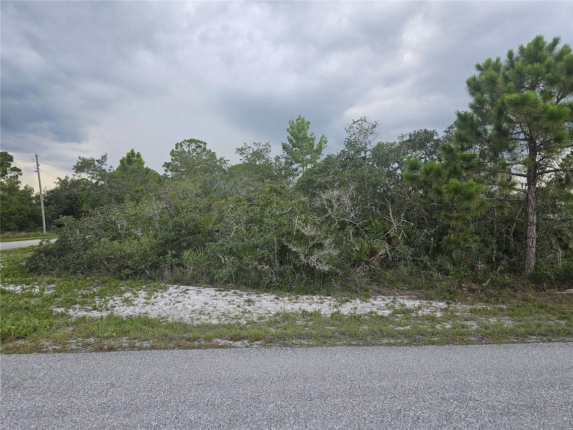 643 Buccaneer St., Lake Placid, FL 33852