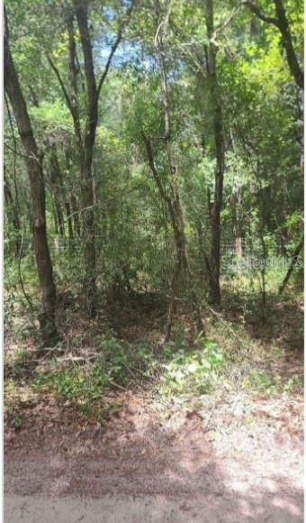 LOT 296 SW Southwest 156th Pl., Dunnellon, FL 34432