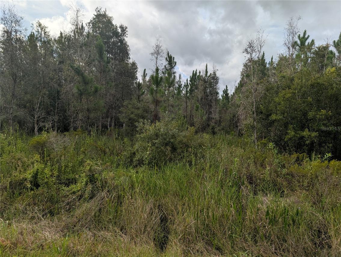 Meadowlark Blvd., Indian Lake Estates, FL 33855