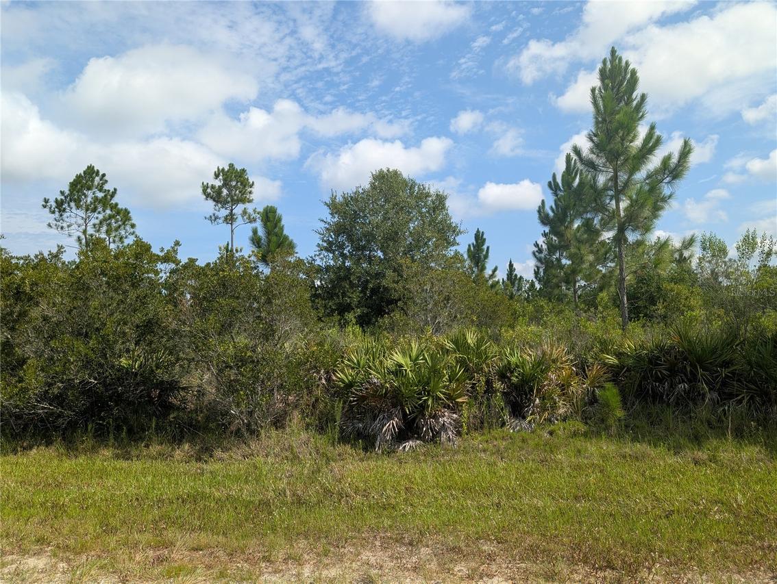 [Address Hidden by Seller], Indian Lake Estates, FL 33855